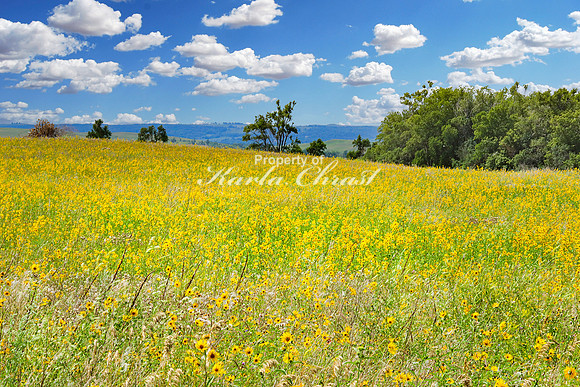 Tewaukon National Wildlife Refuge 11 - July 18, 2023