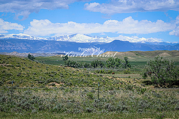 Crazy Woman Crossing 28 - June 5, 2024 Wyoming