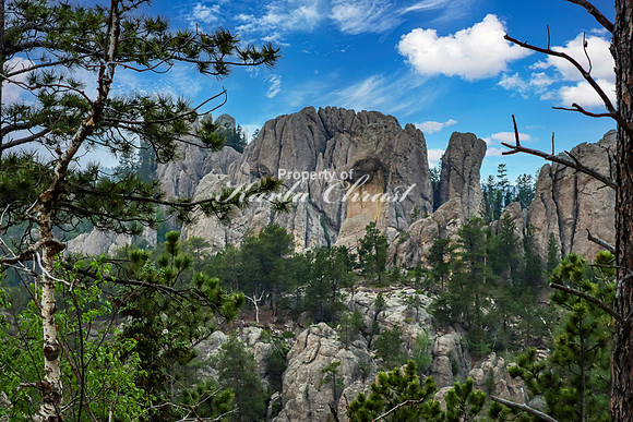 Custer State Park 62 - June 12, 2023