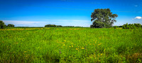 Blazing Star State Trail 2 - July 16, 2024 Minnesota