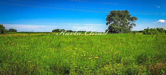 Blazing Star State Trail 2 - July 16, 2024 Minnesota