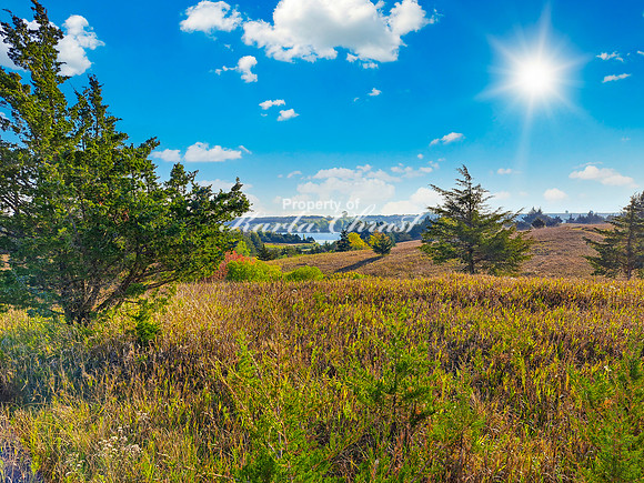 Lake Vermillion Recreation Area 23 - August 10, 2023
