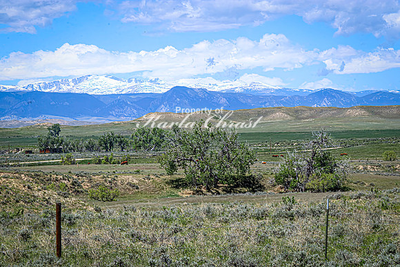 Crazy Woman Crossing 22 - June 5, 2024 Wyoming