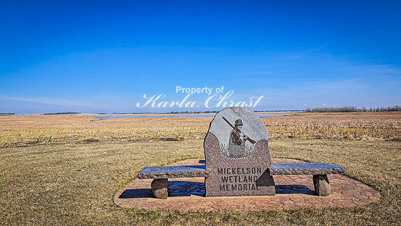 Mickelson Wetland Memorial 1 - April 11, 2025