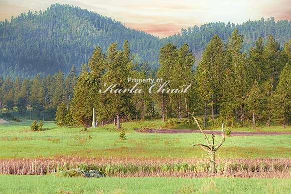 Custer State Park 50 - June 12, 2023