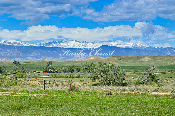 Crazy Woman Crossing 16 - June 5, 2024 Wyoming