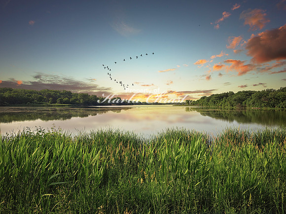 Oakwood Lakes State Park 11 - June 6,  2023