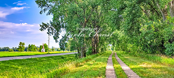 Agassiz Recreational Trail Minnesota 1 - August 3, 2024
