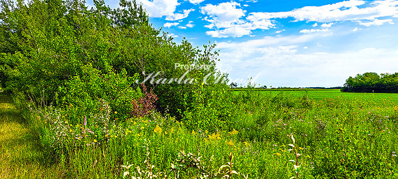 Agassiz Recreational Trail Minnesota 4 - August 3, 2024
