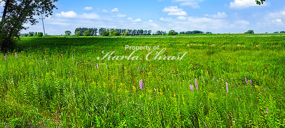 Agassiz Recreational Trail Minnesota 7 - August 3, 2024