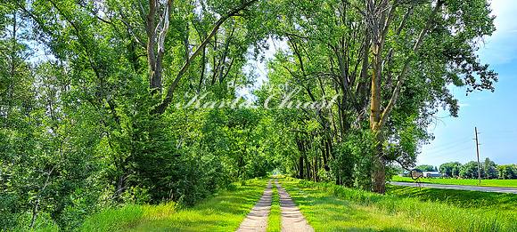 Agassiz Recreational Trail Minnesota 8 - August 3, 2024