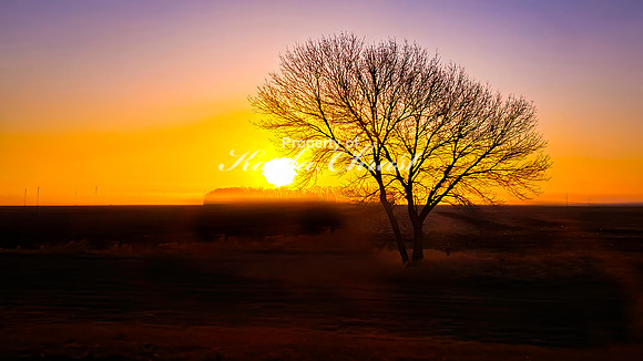 South Dakota Sunrise 21 - April 21, 2025 Rural South Dakota