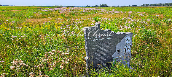Cupido State Wildlife Management Area - August 3, 2024 -