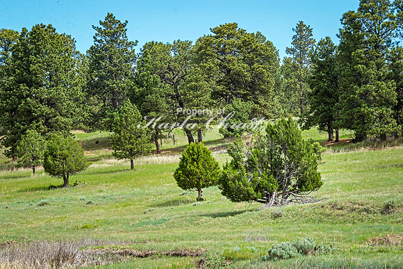 Keyhole State Park 17 - June 7, 2024