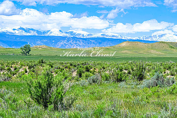Crazy Woman Crossing 31 - June 5, 2024 Wyoming