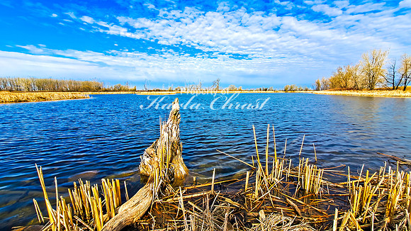 Lake Alice 2 - April 21, 2025 Rural South Dakota