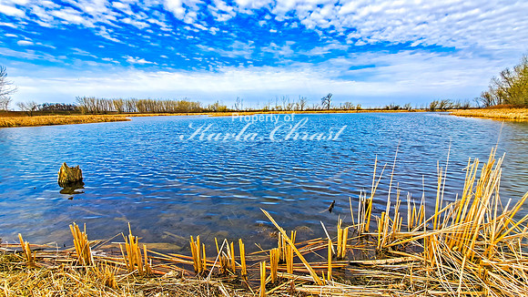 Lake Alice 6 - April 21, 2025 Rural South Dakota