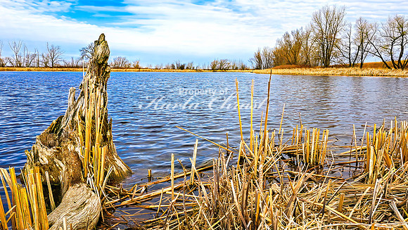 Lake Alice 8 - April 21, 2025 Rural South Dakota