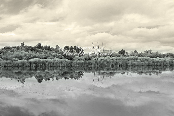 Tamarac Lake - June 29, 2017