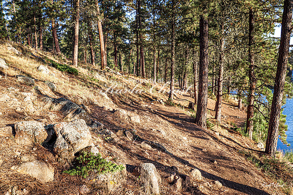 Custer State Park 82 -September 10, 2024
