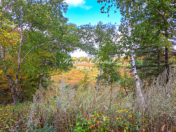 Tamarac National Wildlife Refuge 46 - September 26, 2023