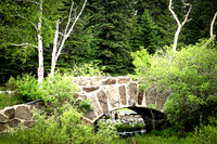 Custer State Park 63 - June 12, 2023
