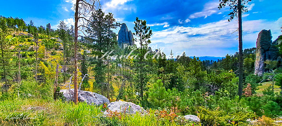 Custer State Park 84 - September 11, 2024 Custer State Park