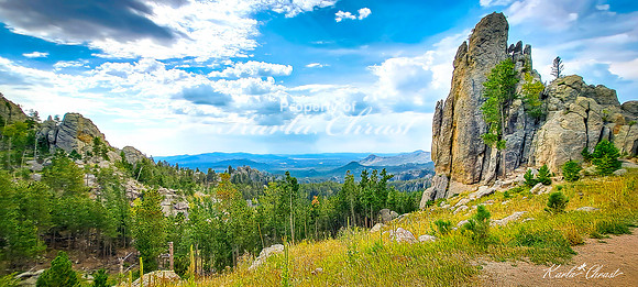 Custer State Park 85 - September 11, 2024 Custer State Park
