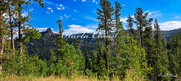 Custer State Park 86 - September 11, 2024 Custer State Park