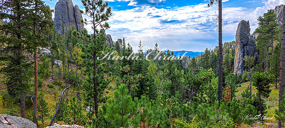 Custer State Park 87 - September 11, 2024 Custer State Park