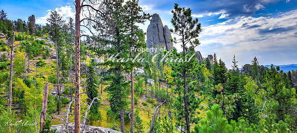 Custer State Park 88 - September 11, 2024 Custer State Park