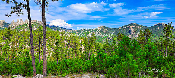 Custer State Park 89 - September 11, 2024 Custer State Park
