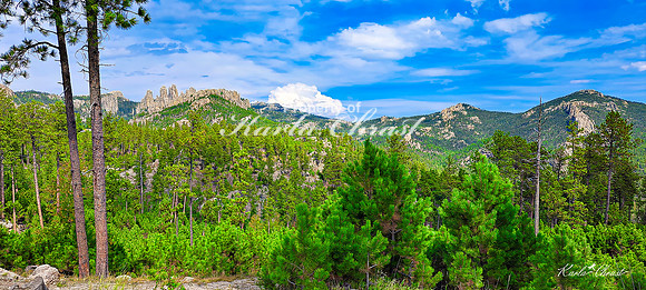 Custer State Park 91 - September 11, 2024 Custer State Park