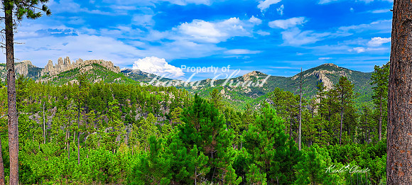 Custer State Park 92 - September 11, 2024 Custer State Park