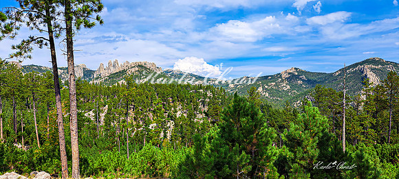 Custer State Park 93 - September 11, 2024 Custer State Park