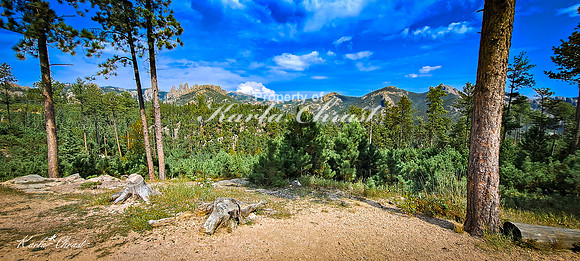 Custer State Park 94 - September 11, 2024 Custer State Park