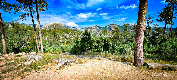 Custer State Park 95 - September 11, 2024 Custer State Park