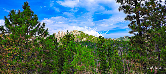 Custer State Park 97 - September 11, 2024 Custer State Park