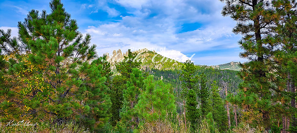 Custer State Park 98 - September 11, 2024 Custer State Park