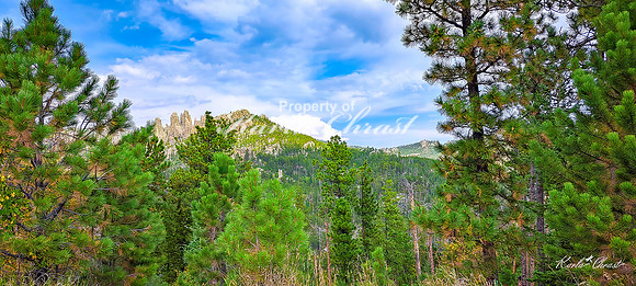 Custer State Park 99 - September 11, 2024 Custer State Park