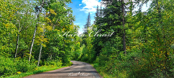 Custer State Park 102 - September 11, 2024 Custer State Park