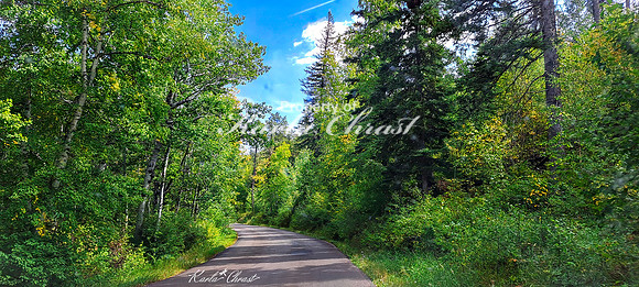 Custer State Park 103 - September 11, 2024 Custer State Park