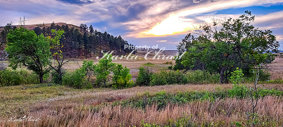 Custer State Park 107 - September 11, 2024 Custer State Park