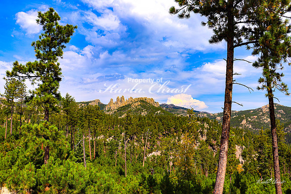 Custer State Park 109 - September 11, 2024 Custer State Park