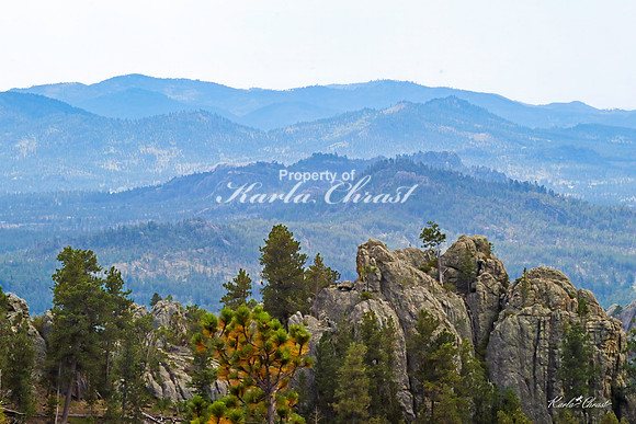 Custer State Park 110 - September 11, 2024 Custer State Park