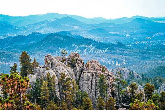 Custer State Park 112 - September 11, 2024 Custer State Park