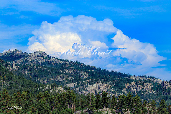 Custer State Park 113 - September 11, 2024 Custer State Park