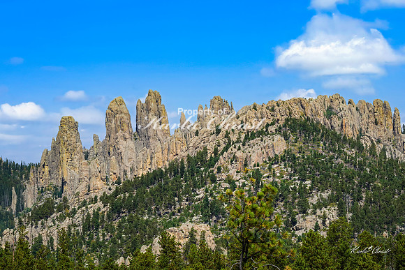 Custer State Park 114 - September 11, 2024 Custer State Park