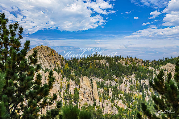 Custer State Park 115 - September 11, 2024 Custer State Park