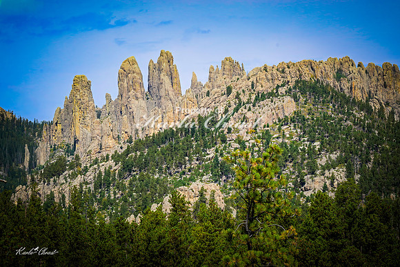 Custer State Park 117 - September 11, 2024 Custer State Park